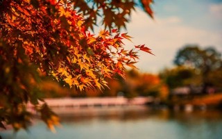 立秋≠降温！接下来30天，比夏天更难熬的“长夏”怎么过？