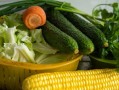 立秋菜园种点啥？这几种蔬菜耐凉又省心 —— 家庭菜园立秋种菜挑选指南