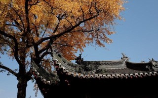 立秋吃什么水果最养人？老传统里的“秋果经”，吃对润燥养肺，安稳过秋天